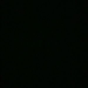 Meet your Posher, Piper